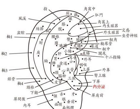 耳朵裡面長痣